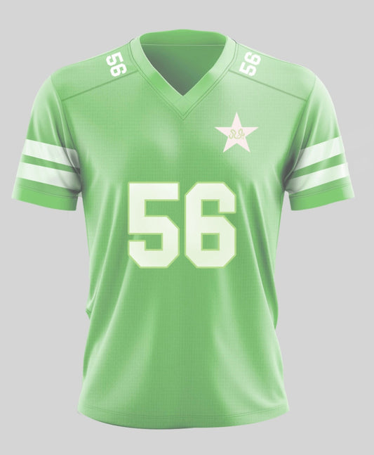 Pakistan Champions edition jersey customized